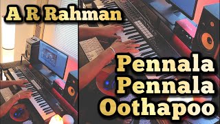 Pennala Pennala Oothapoo Piano Cover  Uzhavan 1993  AR Rahman [upl. by Brelje]