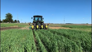 Impact of Cereal Rye Cover Crop on Preemergence Herbicide Fate and NonGMO Soybean Yield in WI [upl. by Martinsen]