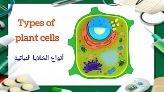 Types of plant cells أنواع الخلايا النباتية [upl. by Libre]