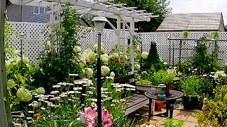 A Garden To Relax  Small Backyard Garden Tour garden gardentour gardening new relaxing plant [upl. by Jelene457]