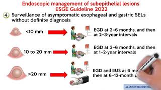 Endoscopic management of subepithelial lesions amp neuroendocrine neoplasms ESGE Guideline 2022 [upl. by Bolt978]