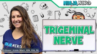 Trigeminal Nerve [upl. by Htenay898]