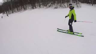 2020 Ski Test  Elan Ripstick 88 Skis [upl. by Hekking]