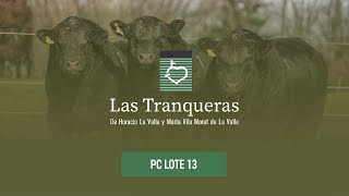 Las Tranqueras PR Y PC Lote 13 [upl. by Antonietta]