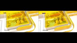 Multiview VTV4 ident 2015  2016 [upl. by Octavla568]