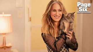 Sarah Jessica Parker and family adopt kitten Carrie rescued in ‘AJLT’ — and his name isn’t ‘Shoe’ [upl. by Allak]