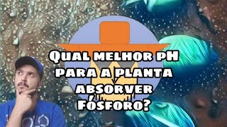 pH do solo Qual o teor ideal para absorver o fósforo Por quê [upl. by Lilhak]