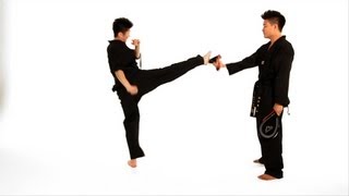 How to Do a Roundhouse Kick  Taekwondo Training [upl. by Alger]