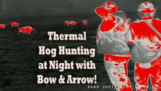 Bow Hunting  Stalking Hogs at Night with Pig Problem Inc Annihilator Broadheads and PARD Thermal [upl. by Bentlee944]