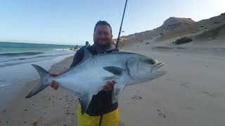 leerfish fishing Pêche a la Lîche Marocaine [upl. by Nyleimaj]