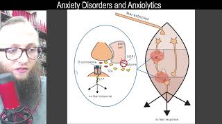 09 17  Facilitating fear extinction with NMDA receptor activation [upl. by Darleen]