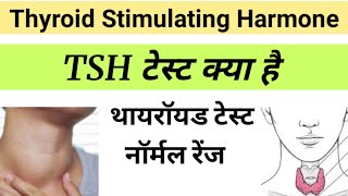 TSH Test in Hindi  Thyroid Stimulating Harmone  tsh report in hindi [upl. by Floeter]