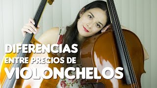 Diferencias entre precios de Violonchelos  Tipos de cellos y costos [upl. by Sedrul]