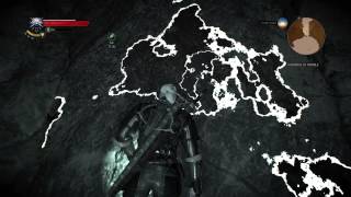 The Witcher 3 Superior Draconid Oil Location [upl. by Anilegnave]