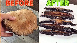 How To Cook THE PERFECT Portobello Mushroom  SO DELICIOUS [upl. by Pucida27]