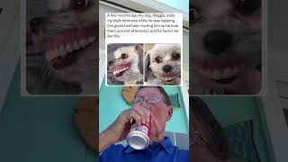 A Few Months Ago My Dog Maggie Stole My Dads Dentures While He Was Napping grandpa [upl. by Atinid]