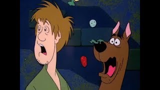 Every quotZoinksquot in ScoobyDoo and ScrappyDoo 19801982 [upl. by Alikee]