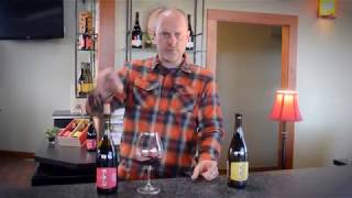 Alex Sokol Blosser on Wine Evolution Big Time Red [upl. by Notnelc]