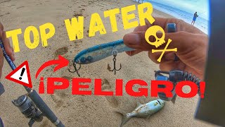 MI MEJOR JORNADA DE PESCA EN HUELVA  TOP WATER  SPINNING DESDE PLAYA [upl. by Correna]