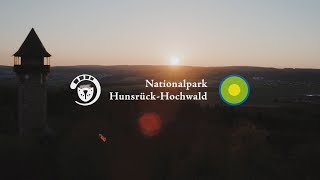 Willkommen im Nationalpark HunsrückHochwald [upl. by Giraud]