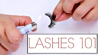 False Lashes Tips And Tricks For Beginners  The how to guide for Lashes [upl. by Vacla]