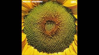 GAM – Aranjuez Wonderland Full Album 1980 [upl. by Assi259]