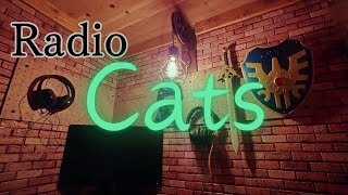 【Radio Cats】 20241124 [upl. by Dusen]