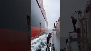 ship longboardlife automobile foilboarding cruise longboarder cruiseship boat splitboarding [upl. by Naaman]