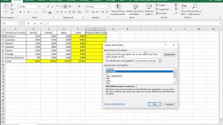 Excel  Lassistant fonction en 1 clic [upl. by Olivero]