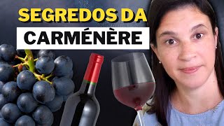 Carménère todos os segredos dessa uva e dos seus vinhos [upl. by Brennen]