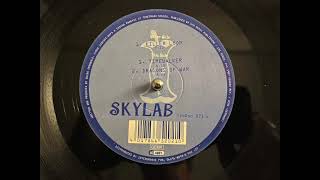 Skylab – Killer Loop  Timewalker [upl. by Wagstaff]