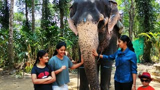 Thekkady Elephant Safari [upl. by Hau]