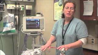 Introduction to Capnography [upl. by Nanni]