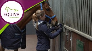 Schleich Pferde ADVENTSKALENDER 2018 Horse Club deutsch  Wir öffnen alle 24 TürchenAdvent Calendar [upl. by Shepperd380]