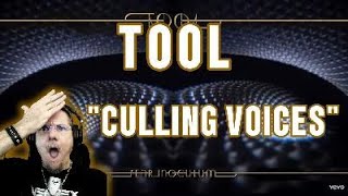 Tool quotCulling Voicesquot Reaction A nice slow burn [upl. by Claman]