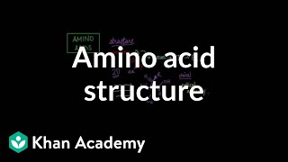 Amino acid structure  Chemical processes  MCAT  Khan Academy [upl. by Kiona]