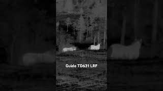 Guide TD631 LRF guide guidesensmart hunt jagd wärmebildkamera hunting [upl. by Chantal143]