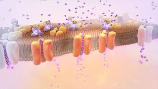 Diabetes Tipo 2 [upl. by Screens]