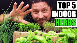 Top 5 Herbs To Grow Indoors [upl. by Munroe]