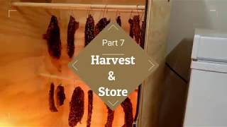 My Basic Biltong Recipe [upl. by Waly]