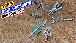 Best Crossbow Broadheads for 2024  Top 5 Crossbow Broadhead Reviews [upl. by Gorski174]