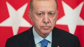 afp  Erdogan Darum ist sein Besuch so umstritten [upl. by Etnoed]