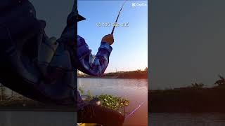 Tạm biệt tháng 9 nhé fishingislife fish carpfishing fishinglife tamtrang cauca bassfishing [upl. by Airotciv]