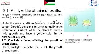 Grade 7 Activity 1 the nutritive needs of chlorophyllic plants [upl. by Encratia596]