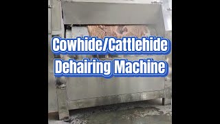 Cattlehide Dehairing Machine Cowhide Dehairer Beef Abattoir Slaughtering Equipment Machinery [upl. by Airahcaz41]