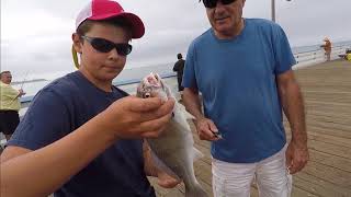 How to Fish From a Pier [upl. by Pierce981]