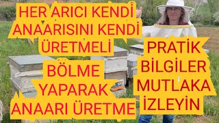 EN KOLAY VE EN VERİMLİ ANAARI ÜRETİMİARIYI HIZLI GELİŞTİRME 1BÖLÜMarıarıcılıkbeeyalvaç [upl. by Ynad]