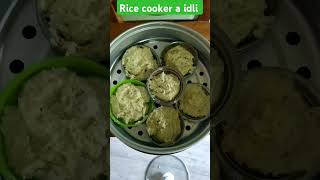 rice cooker a idli making livingwithmrinmoy shortsfeed rice idli southindianfood kolkata food [upl. by Kai]