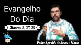 Evangelho do dia 16 de Janeiro de 2024 Marcos 2 23 28 [upl. by Posehn394]