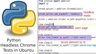 The simplest way to run python headless test with Chrome on Ubuntu [upl. by Orlina]